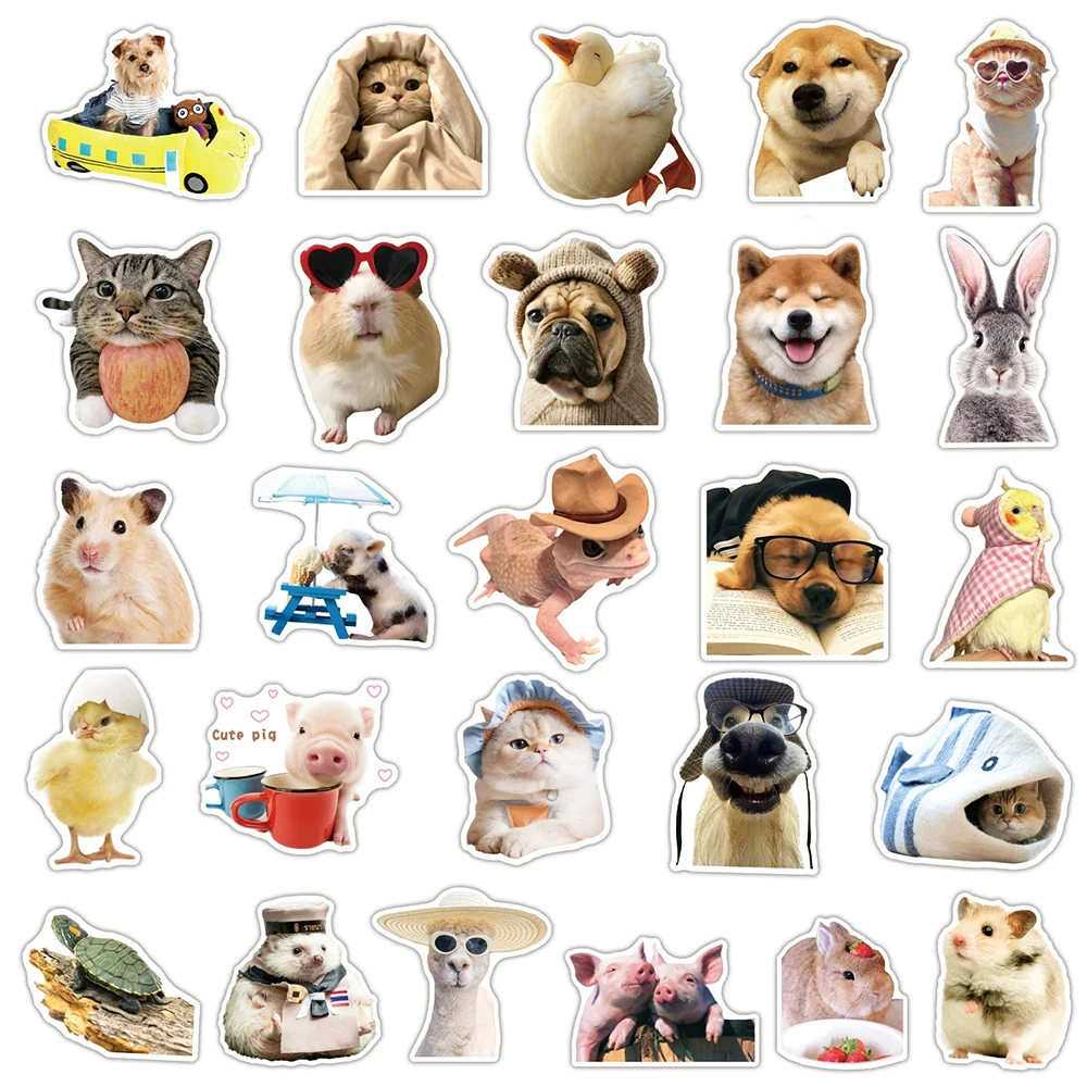 10/30/50pcs Funny Cute Animal Meme Stickers Cartoon Cat Dog Piggy Sticker DIY Skateboard Phone Luggage Guitar Decals Toys Gift
10/30/50pcs Funny Cute Animal Meme Stickers Cartoon Cat Dog Piggy Sticker DIY Skateboard Phone Luggage Guitar Decals Toys Gift
