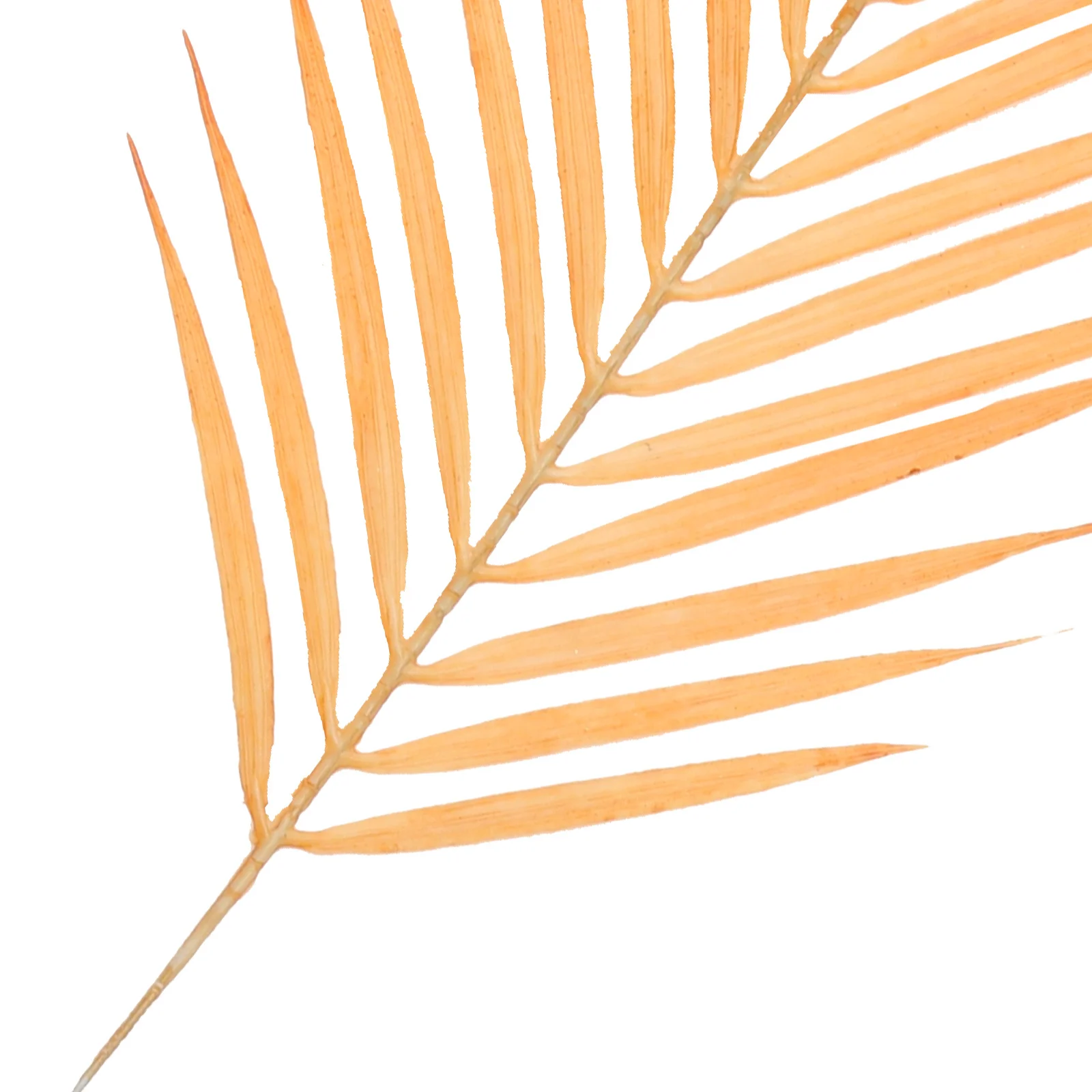 4Pcs Simulated Plant Decor Artificial Leaves Realistic Gold Tropical Leaf Stems Reusable Party Home Office Holiday Decoration
4Pcs Simulated Plant Decor Artificial Leaves Realistic Gold Tropical Leaf Stems Reusable Party Home Office Holiday Decoration