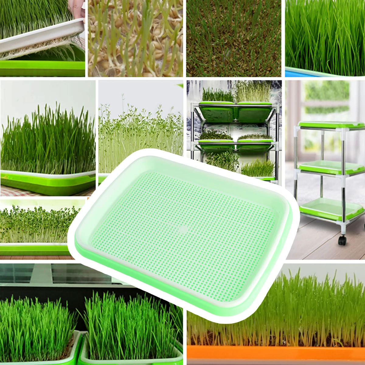 Seedling Tray Set Sprouter Kit Growing Trays Microgreens BPA Free PP Material Storage Fruits Vegetables High
Seedling Tray Set Sprouter Kit Growing Trays Microgreens BPA Free PP Material Storage Fruits Vegetables High