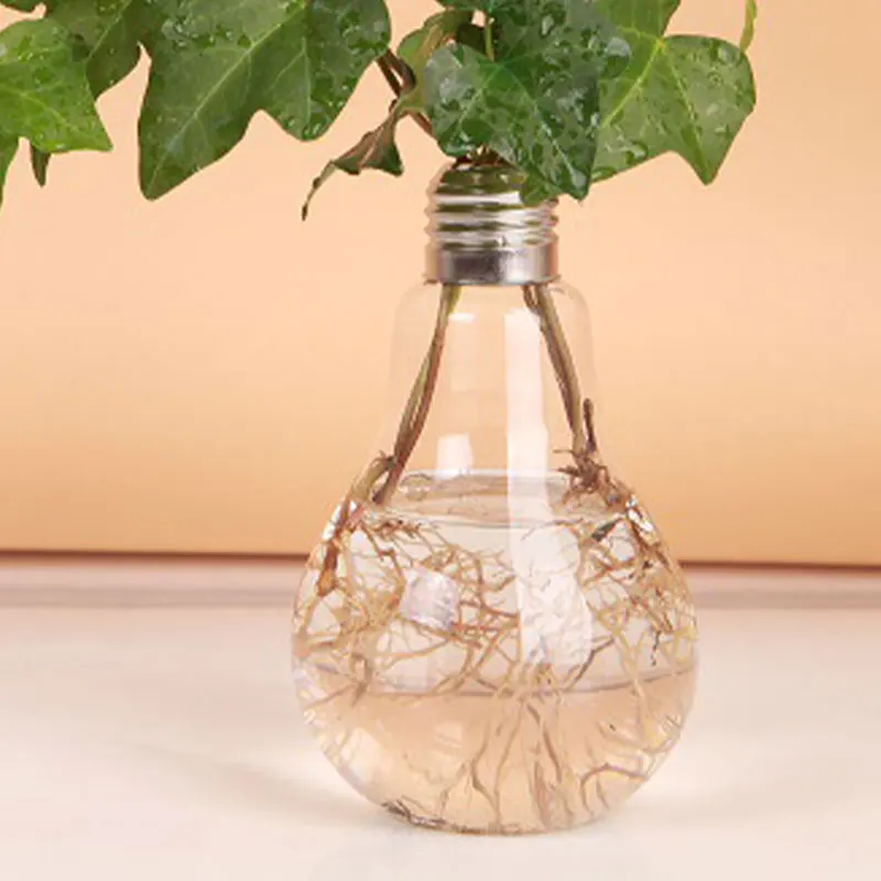 100ml Light Bulb Transparent Glass Vase Fashion Hydroponic Flower Vase Home Gift
100ml Light Bulb Transparent Glass Vase Fashion Hydroponic Flower Vase Home Gift