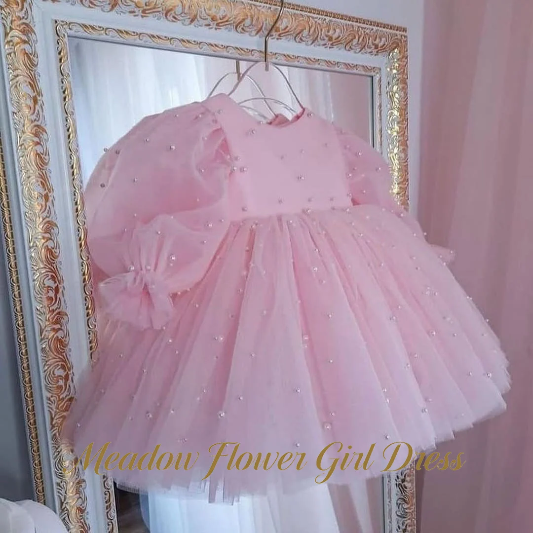 Meadow Blush Pink Flower Girl Dress Round Neckline Baby Kids Birthday Dress Pearl Embellished Bodice Pageant Dress for Girl
Meadow Blush Pink Flower Girl Dress Round Neckline Baby Kids Birthday Dress Pearl Embellished Bodice Pageant Dress for Girl