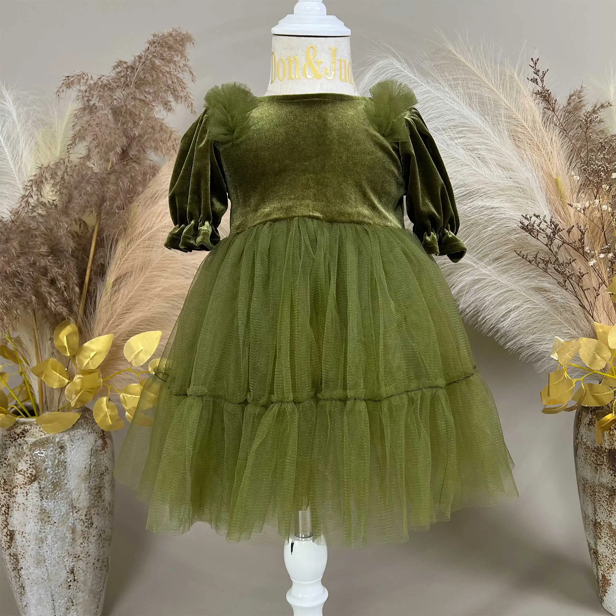 Short Sleeve Velvet Tulle Puffy Dress Costume Children's Formal Wear Girls Kids Party Princess Gown Photography Prop Shooting
Short Sleeve Velvet Tulle Puffy Dress Costume Children's Formal Wear Girls Kids Party Princess Gown Photography Prop Shooting