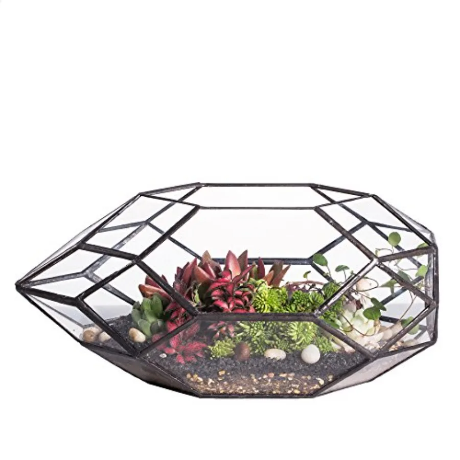 6.5 x 5.9 x 11 Inches Geometric Glass Terrarium for Succulent Air Plants - Large Irregular Clear Planter Pot Indoor Tabletop Ce
6.5 x 5.9 x 11 Inches Geometric Glass Terrarium for Succulent Air Plants - Large Irregular Clear Planter Pot Indoor Tabletop Ce