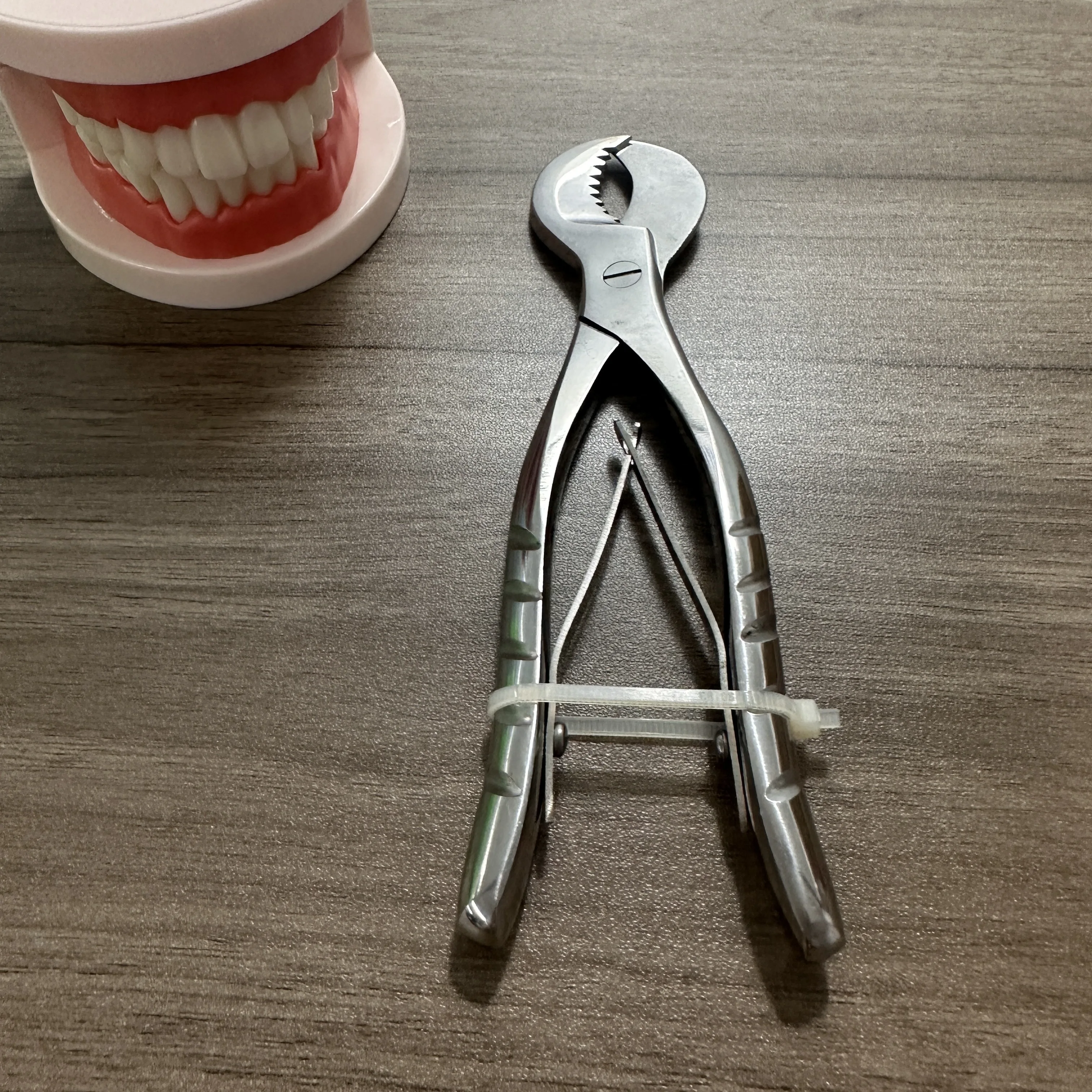 1Pc Dental Plaster Shears Scissiors Stainless Steel Forceps Instrument Gypsum Plaster Material Scissors Dentist Lab Tools
1Pc Dental Plaster Shears Scissiors Stainless Steel Forceps Instrument Gypsum Plaster Material Scissors Dentist Lab Tools