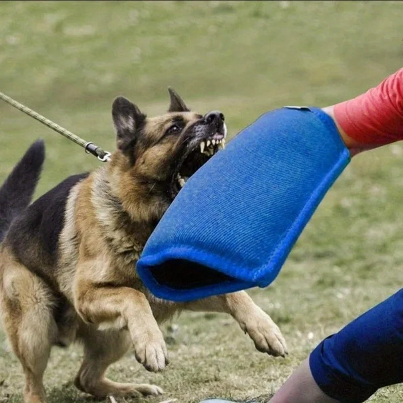 Heavy-Duty Dog Agility Training Sleeve with Secure Hook | Non-Slip Grip for Agility Courses, Durable Gear for Enthusiasts
Heavy-Duty Dog Agility Training Sleeve with Secure Hook | Non-Slip Grip for Agility Courses, Durable Gear for Enthusiasts