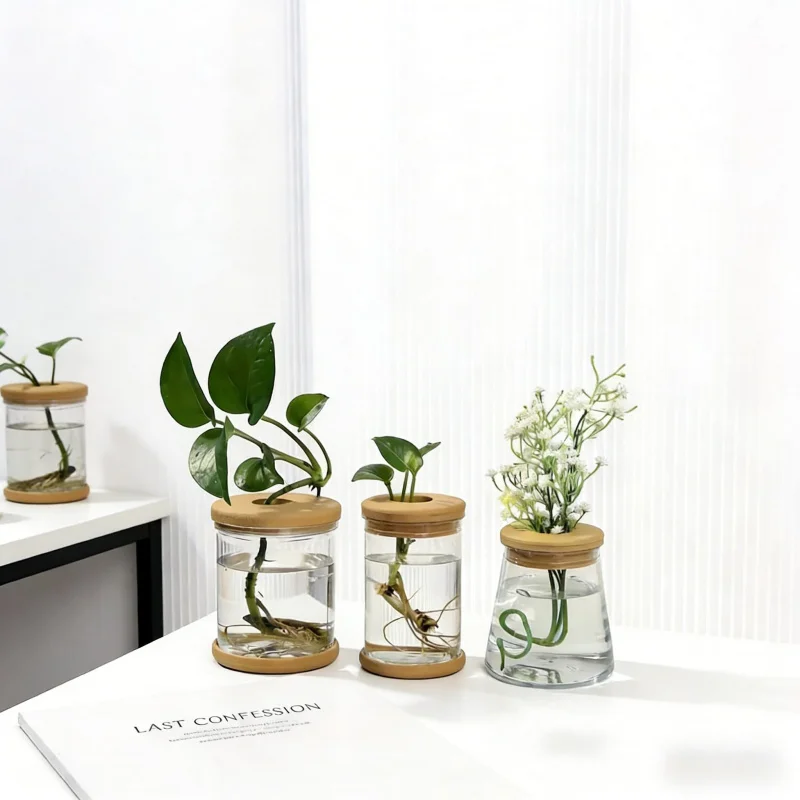 3Set Glass Hydroponic Flower Pot with Wooden Lid And Tray Succulent Green Radish Plant Container Accessories Creative Gift
3Set Glass Hydroponic Flower Pot with Wooden Lid And Tray Succulent Green Radish Plant Container Accessories Creative Gift