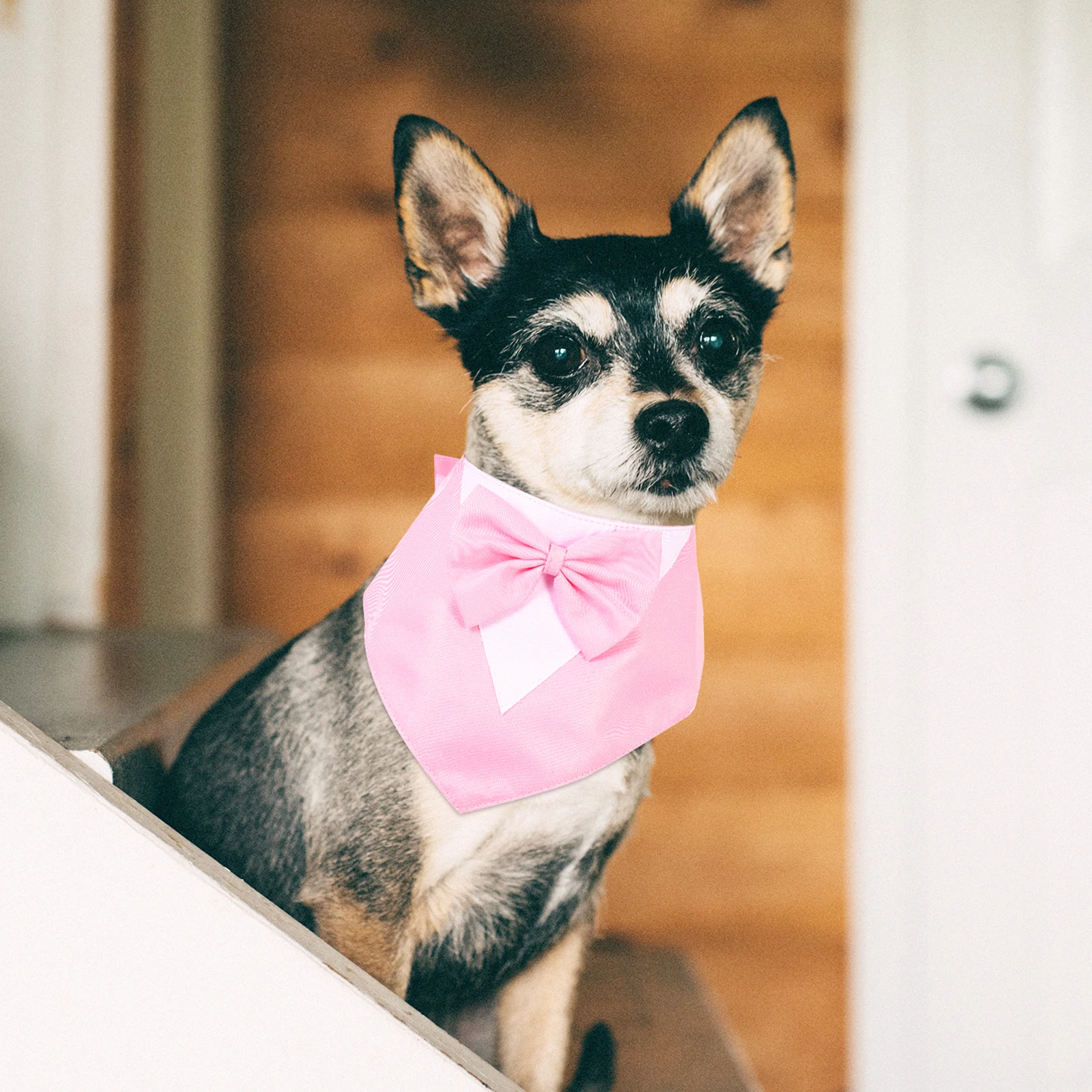 Birthday Adjustable Bow Tie Scarf Stylish Puppy Suit Costume Dog Accessories Pet Dog Birthday B Gifts
Birthday Adjustable Bow Tie Scarf Stylish Puppy Suit Costume Dog Accessories Pet Dog Birthday B Gifts