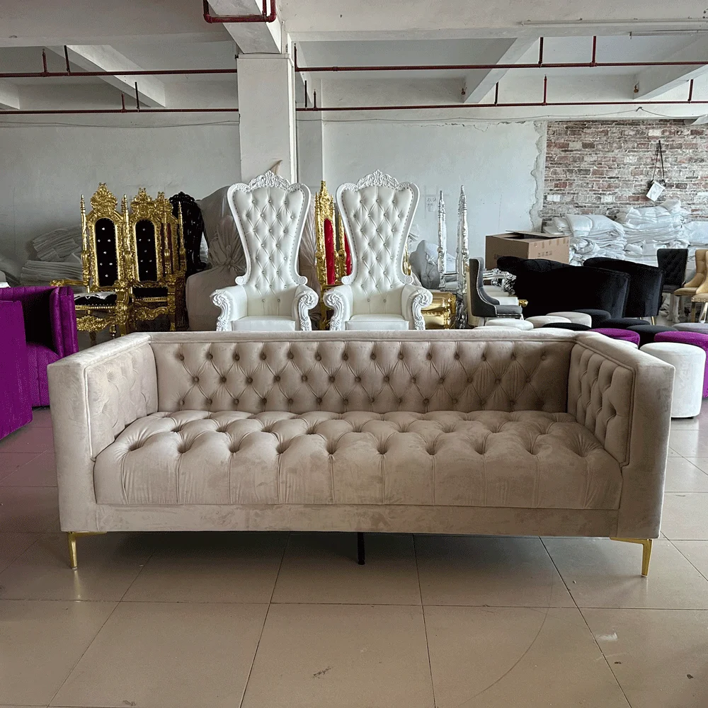 High quality modern luxurybrand big whole house decor Velvet Sofa mid-century modern sofa
High quality modern luxurybrand big whole house decor Velvet Sofa mid-century modern sofa