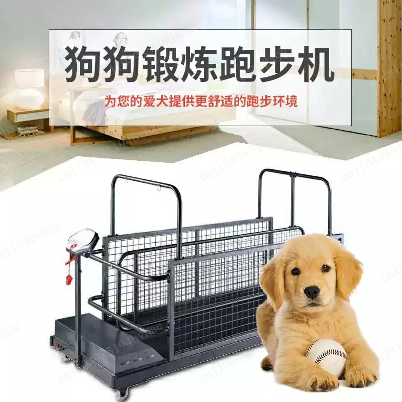 Pet treadmill, dog animal supplies, home sports equipment
Pet treadmill, dog animal supplies, home sports equipment