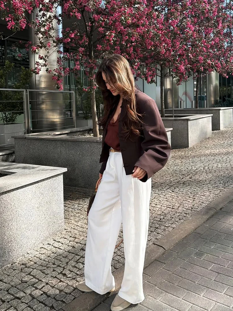 Women Dark Brown Mandarin Collar Frog-button Cropped Cardigan Jacket Elegant Long-sleeve Outerwear New Daily Office Commute Coat
Women Dark Brown Mandarin Collar Frog-button Cropped Cardigan Jacket Elegant Long-sleeve Outerwear New Daily Office Commute Coat