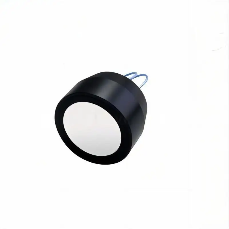 Direct Wholesale Sales of DM075 75kHz Ultrasonic Sensor for Obstacle Detection
Direct Wholesale Sales of DM075 75kHz Ultrasonic Sensor for Obstacle Detection