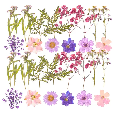 27Pcs Dried Flower Set Real Pressed Flower Material for Handmade Greeting Cards Bookmarks Candles Wedding Home Decor Craft