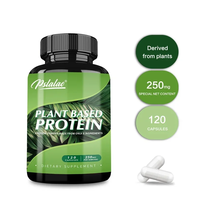 Plant Based Protein Supplement - Digestive Support, Promotes Intestinal Health, Antioxidant
Plant Based Protein Supplement - Digestive Support, Promotes Intestinal Health, Antioxidant