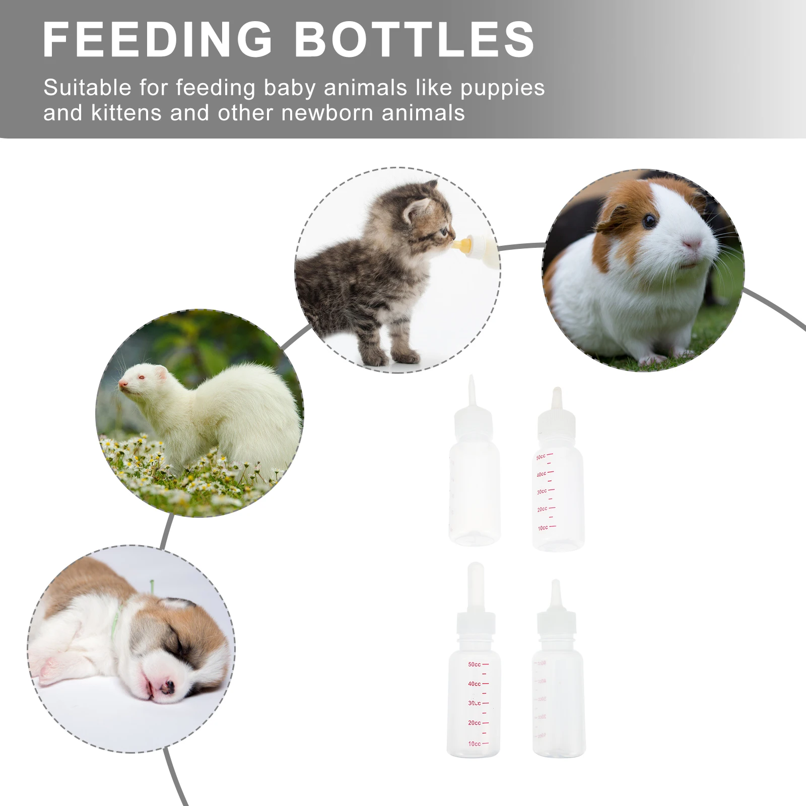 4pcs Silica Newborn Cat Feeders Gel Safe Easy Feeding Control Food Intake Newborn Kitten Puppy Dog Supplies
4pcs Silica Newborn Cat Feeders Gel Safe Easy Feeding Control Food Intake Newborn Kitten Puppy Dog Supplies