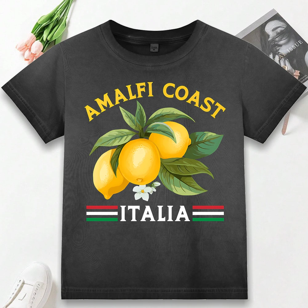 Женские потертые футболки с принтом Amalfi Coast Lemon Fruit Italia, тонкая футболка с круглым вырезом, мягкая одежда для окрашивания, летняя хлопковая уличная одежда
Женские потертые футболки с принтом Amalfi Coast Lemon Fruit Italia, тонкая футболка с круглым вырезом, мягкая одежда для окрашивания, летняя хлопковая уличная одежда