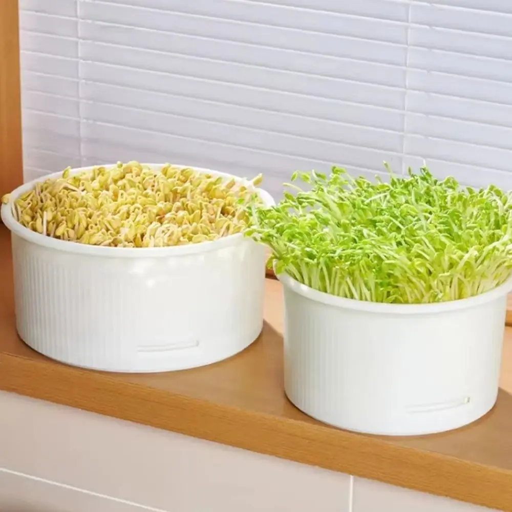Stackable Bean Sprout Nursery Pots Split Ventilated Bean Sprout Germination Tray Efficient Soilless Cultivation Pot
Stackable Bean Sprout Nursery Pots Split Ventilated Bean Sprout Germination Tray Efficient Soilless Cultivation Pot