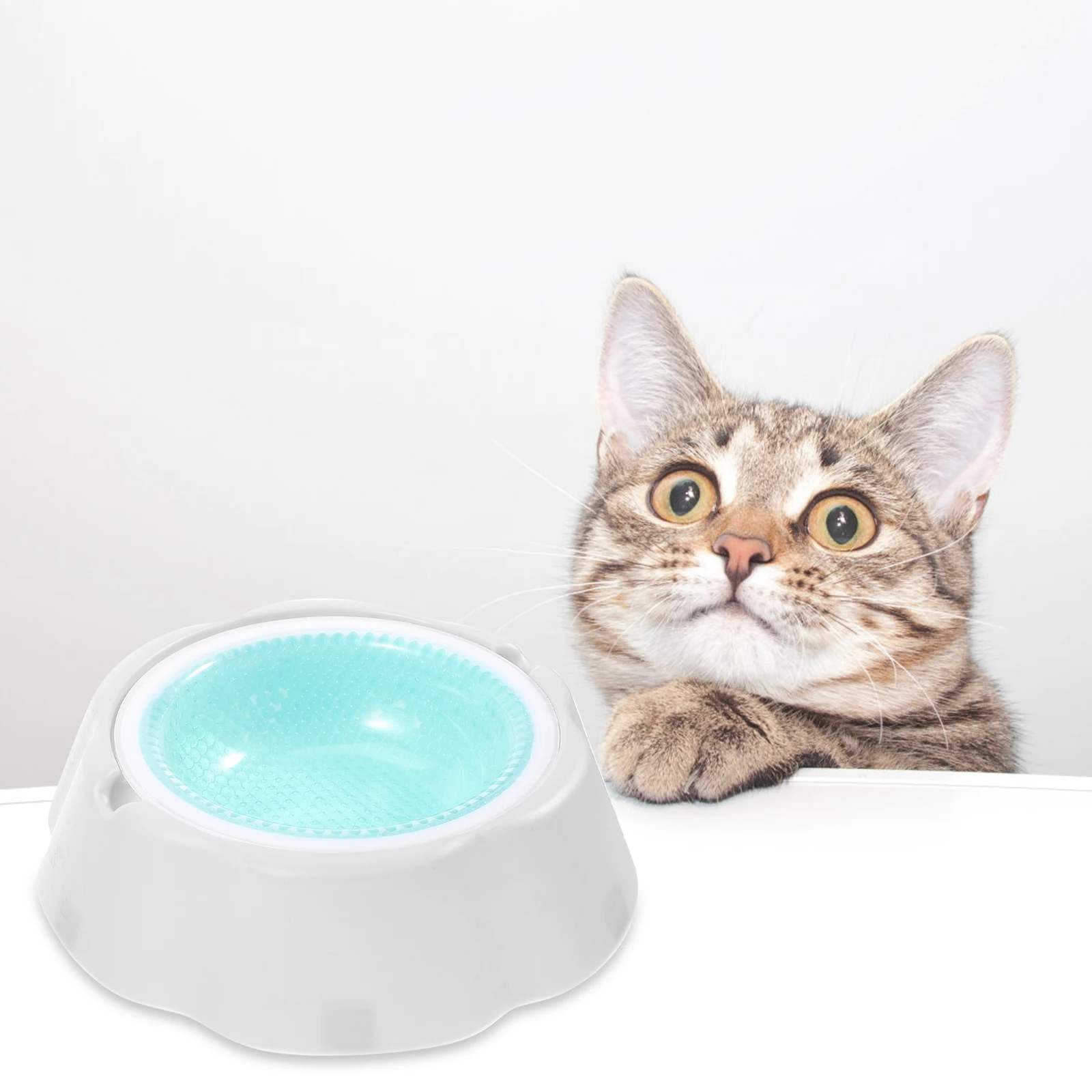 Pet Dog Bowls That Keep Water Cold Cat Dish Pp Cooling for Dogs Feeding Dishes Waterr
Pet Dog Bowls That Keep Water Cold Cat Dish Pp Cooling for Dogs Feeding Dishes Waterr