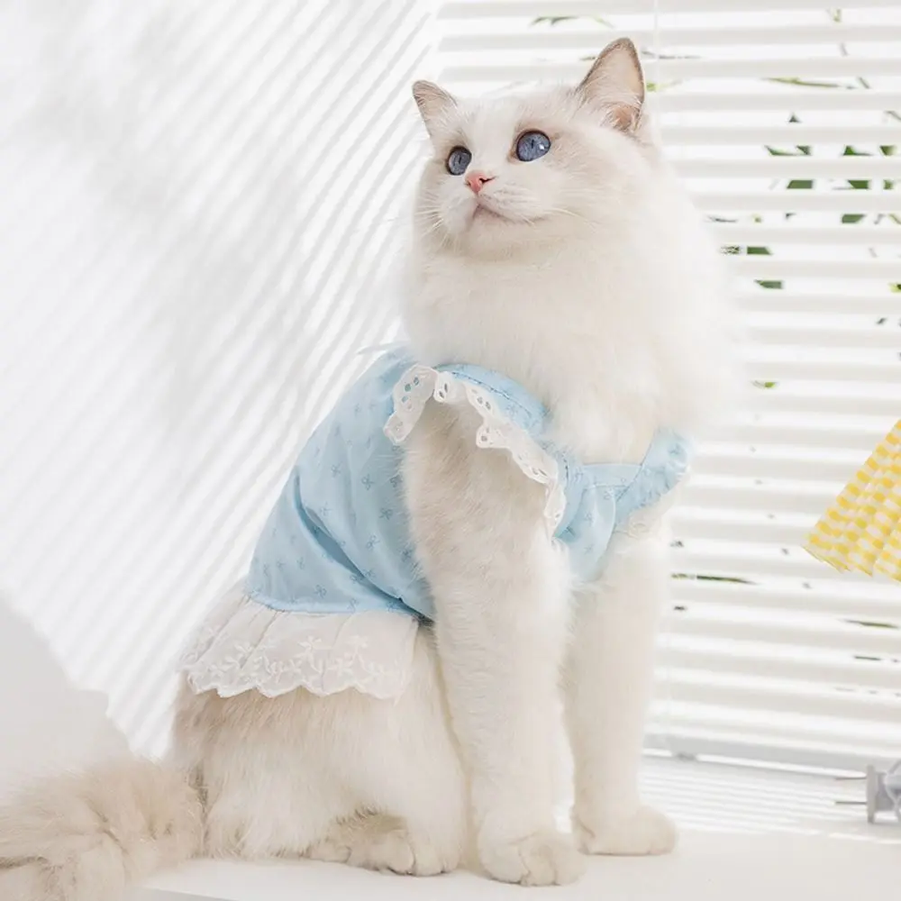 Fashion Exquisite Bow Print Dog Dress Soft Breathable Lace Cat Skirt Cute Dog Princess Dress Pet Clothes
Fashion Exquisite Bow Print Dog Dress Soft Breathable Lace Cat Skirt Cute Dog Princess Dress Pet Clothes