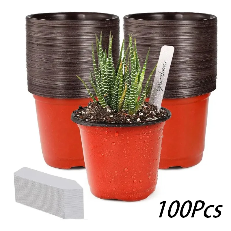 Small Plastic Plant Nursery Pot/Pots (100pcs Pots and 100pcs Plant Labels) Seedlings Flower Plant Container
Small Plastic Plant Nursery Pot/Pots (100pcs Pots and 100pcs Plant Labels) Seedlings Flower Plant Container