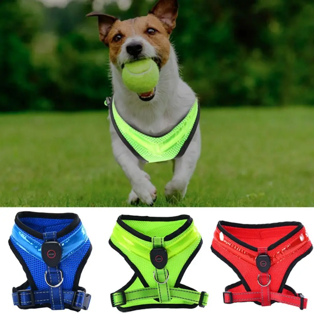 Durable Luminous Pet LED Harness Rechargeable Breathable Dog Traction Harness Waterproof Dog Vest Night
Durable Luminous Pet LED Harness Rechargeable Breathable Dog Traction Harness Waterproof Dog Vest Night