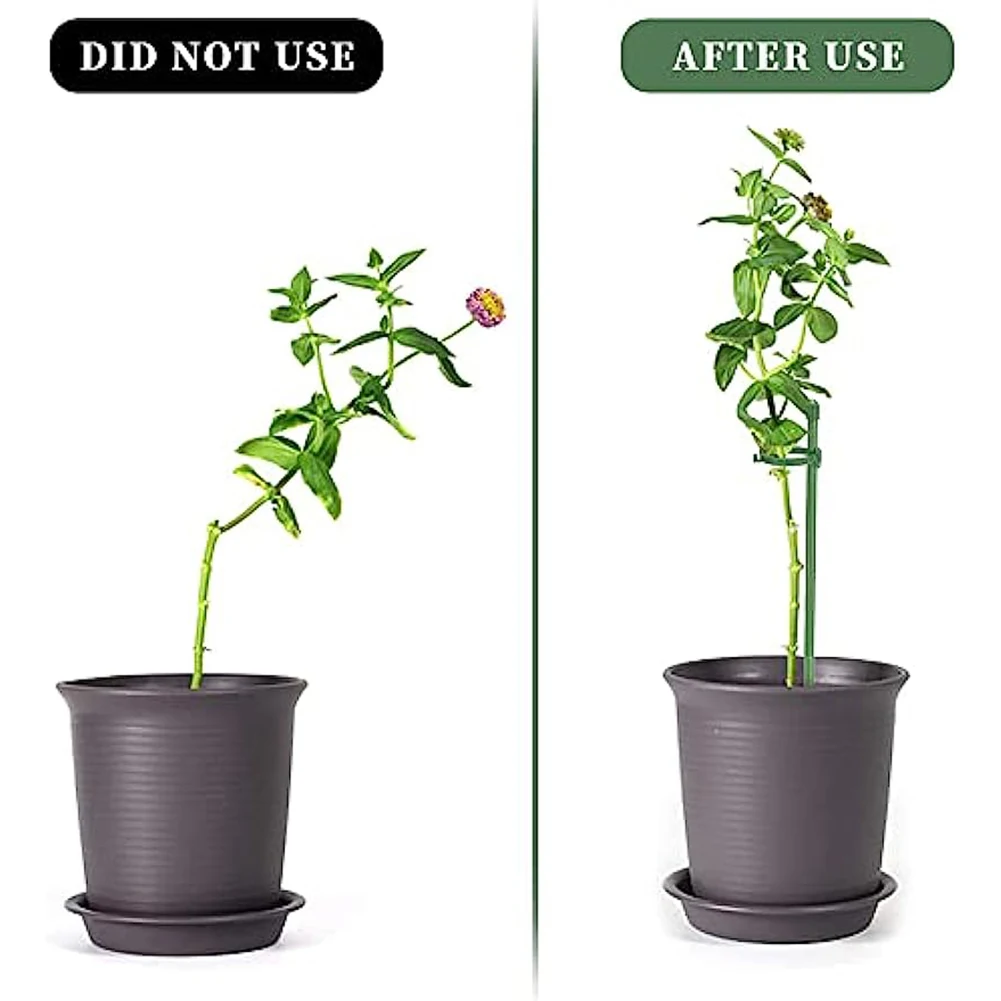 15pc Gardening Indoor Plant Stake Orchid Stake 40 Clip Plant Stems Plant Growth Fixing Plant Support Plastic Flower Stand
15pc Gardening Indoor Plant Stake Orchid Stake 40 Clip Plant Stems Plant Growth Fixing Plant Support Plastic Flower Stand