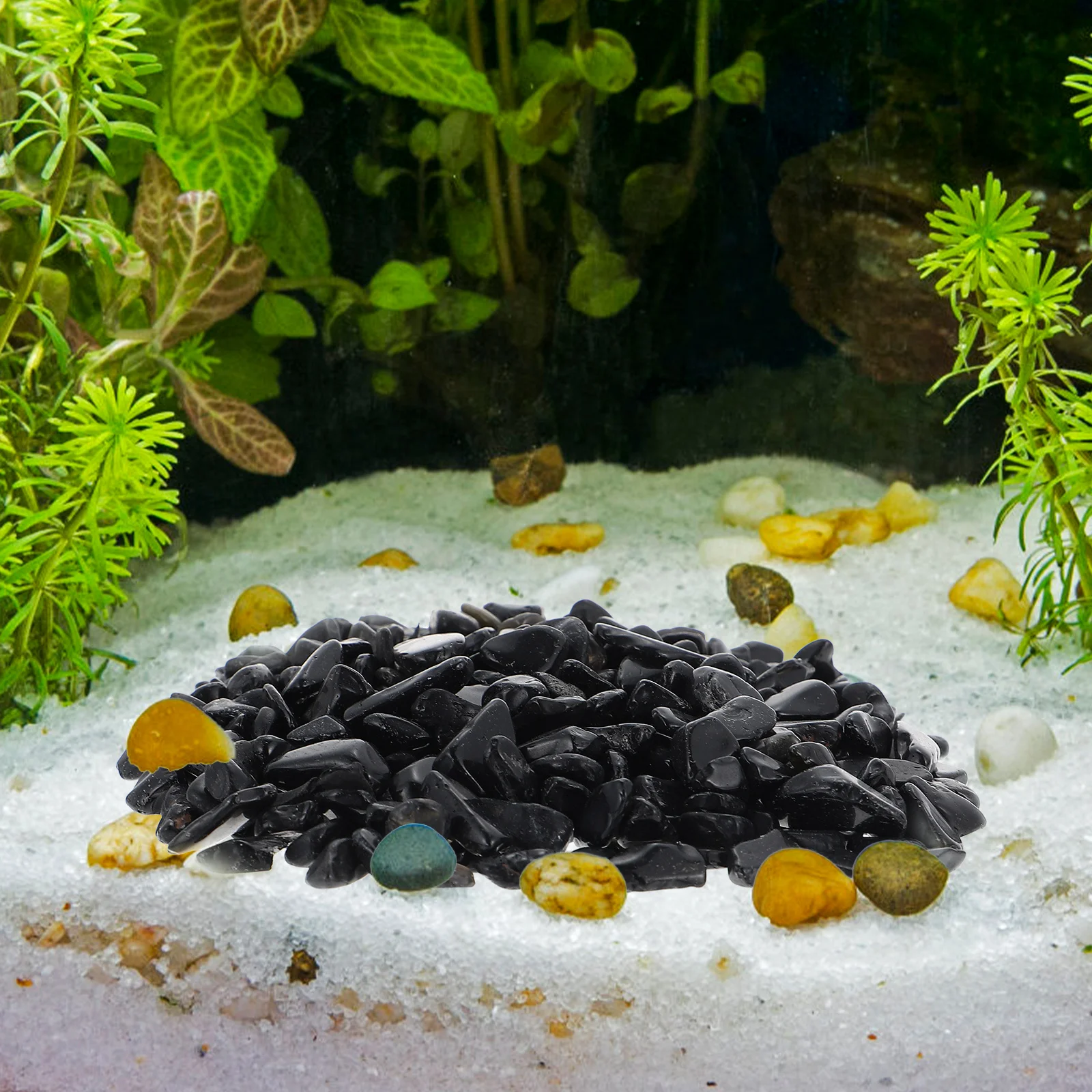 1 set 1 Set Delicate Black Obsidian Rocks Premium Aquarium -Resistant Fish Tank Decor For Plants Flower Pot Handcraft
1 set 1 Set Delicate Black Obsidian Rocks Premium Aquarium -Resistant Fish Tank Decor For Plants Flower Pot Handcraft