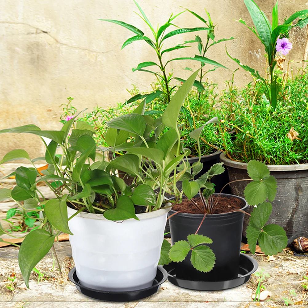 2 Pcs 32cm Plant Saucers Durable Plastic Flower Pot Trays for Indoor Plants Water Bonsai Plates Gardening Home Gifts
2 Pcs 32cm Plant Saucers Durable Plastic Flower Pot Trays for Indoor Plants Water Bonsai Plates Gardening Home Gifts