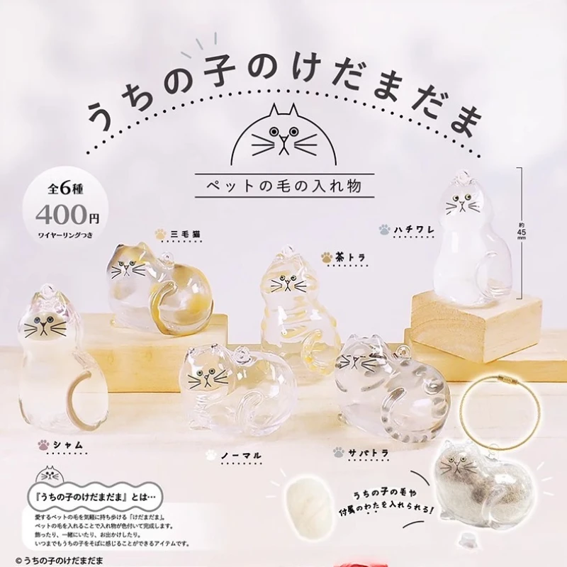 Слепая коробка для домашних животных, игрушка, прозрачная коробка для хранения кошачьей шерсти, подвесная декоративная сумка, подвески, подарки для владельцев кошек
Слепая коробка для домашних животных, игрушка, прозрачная коробка для хранения кошачьей шерсти, подвесная декоративная сумка, подвески, подарки для владельцев кошек