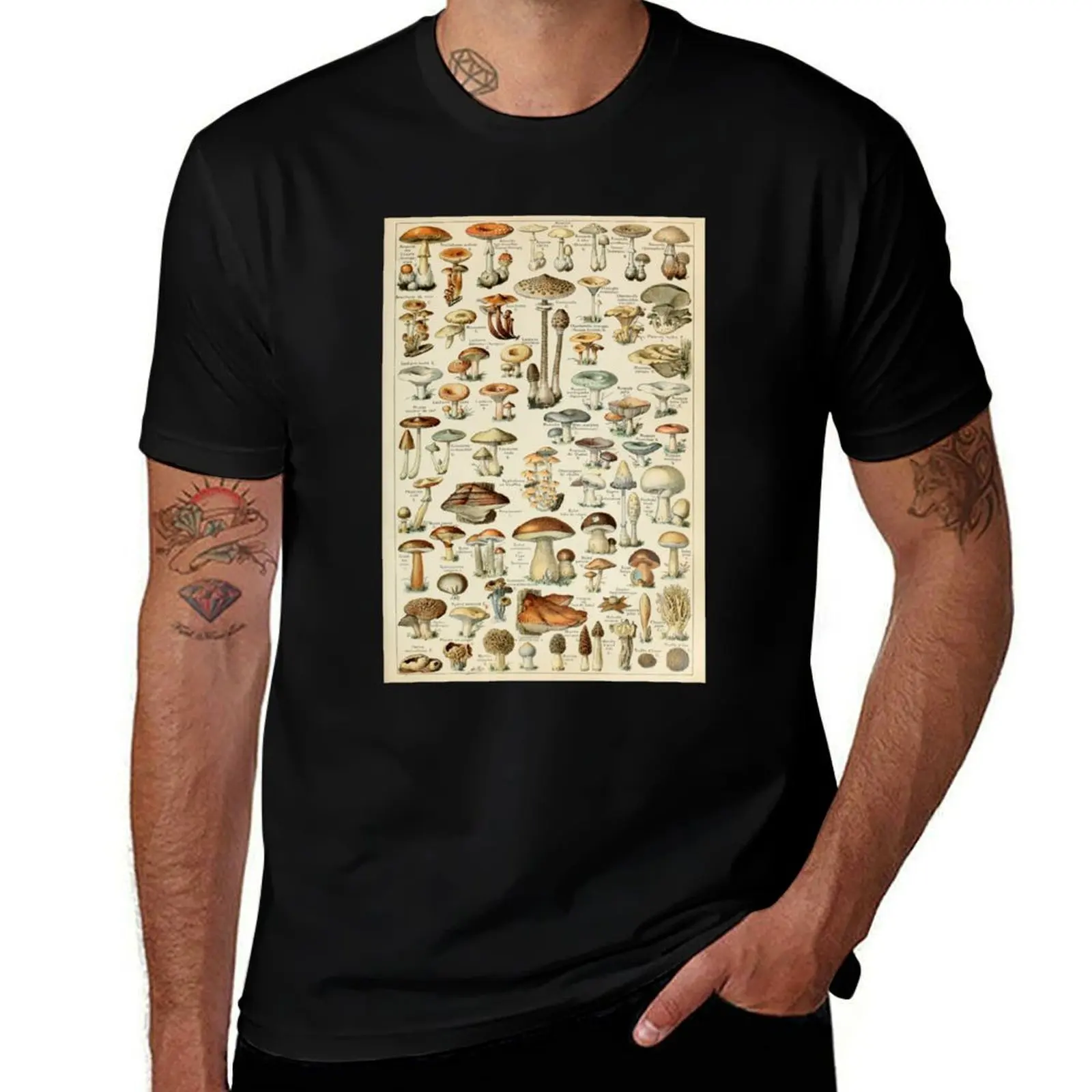 Vintage Mushroom Chart - Adolphe Millot T-Shirt cute tops customizeds sports fans heavy weight t shirts for men
Vintage Mushroom Chart - Adolphe Millot T-Shirt cute tops customizeds sports fans heavy weight t shirts for men