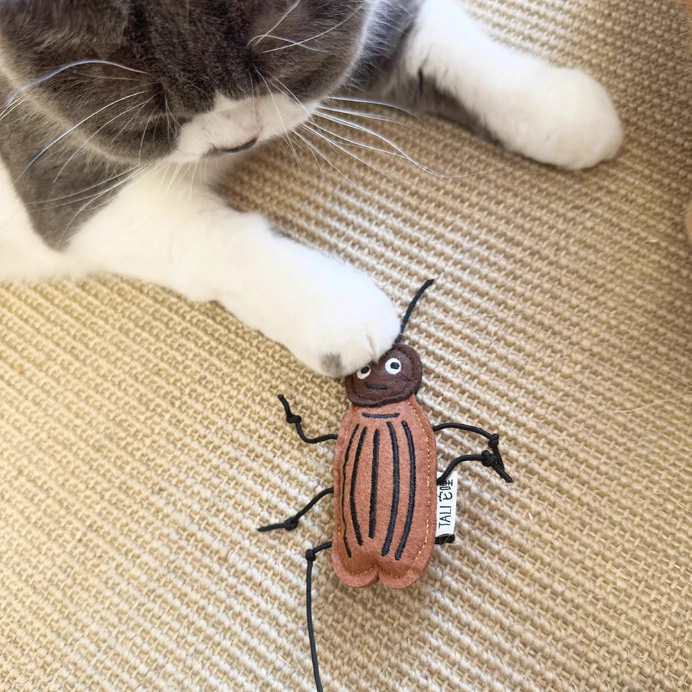 Catnip Bell Toy Bite Resistant Felt Molars Cute Cockroaches Ladybugs Dragonflies Cat Pet Toys Suppliers
Catnip Bell Toy Bite Resistant Felt Molars Cute Cockroaches Ladybugs Dragonflies Cat Pet Toys Suppliers