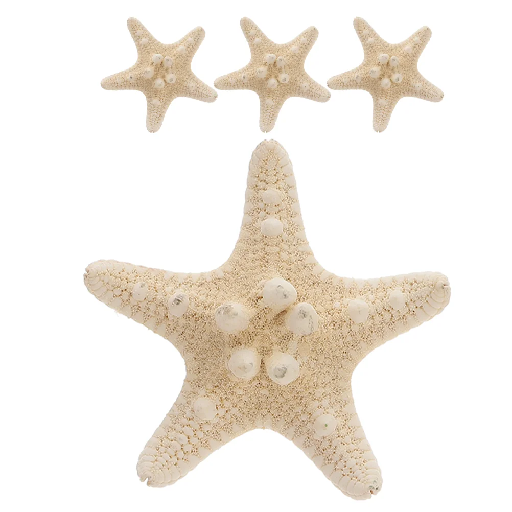 4 Pcs Conch Shell Steamed Buns Pencil for DIY Decorate Finger Sea Star Decorations
4 Pcs Conch Shell Steamed Buns Pencil for DIY Decorate Finger Sea Star Decorations