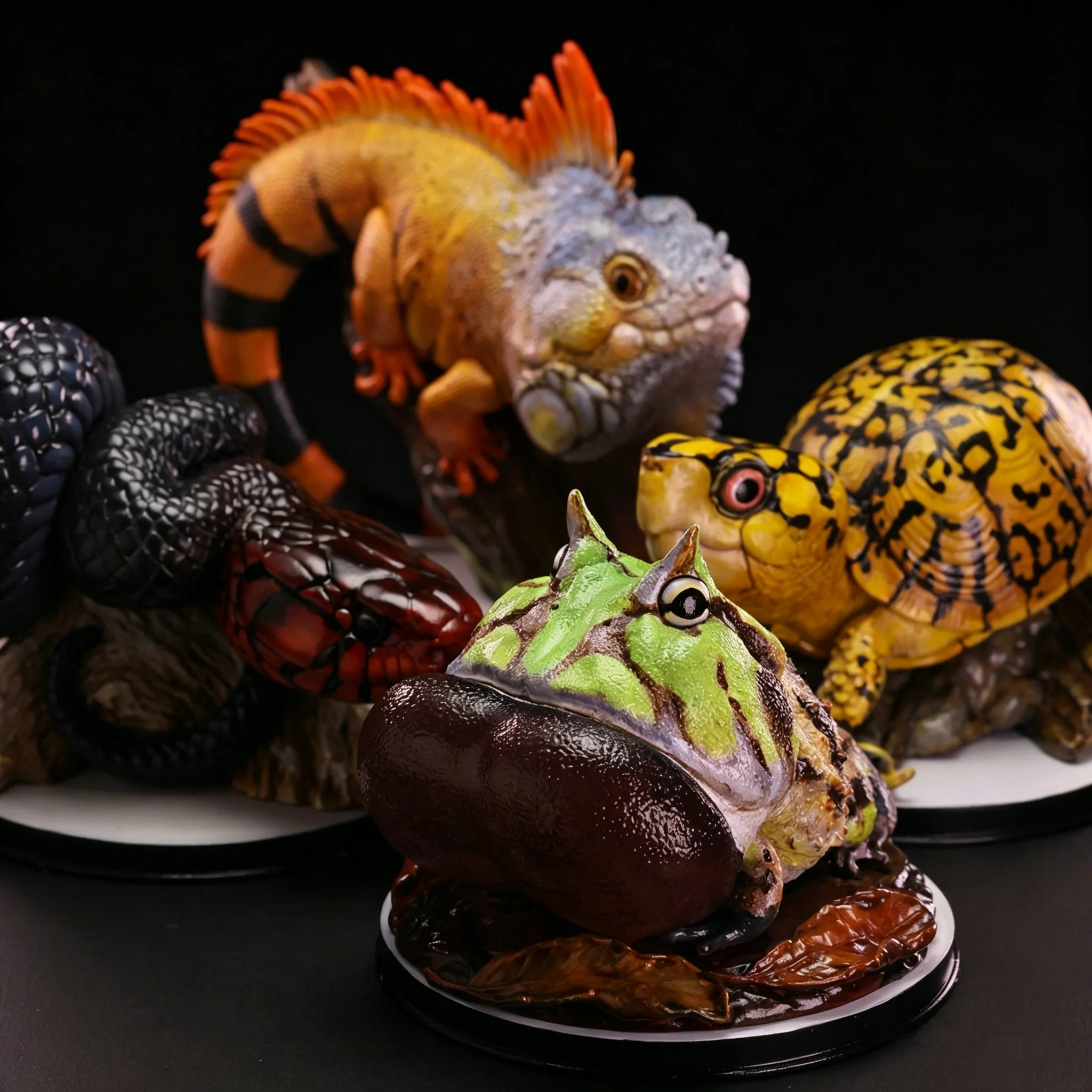 ANIMAL HEAVENLY BODY Studio 8th Anniversary Limited Model Animal Horned Frog Box Turtle Kingsnake Eastern Collection Scene Decor
ANIMAL HEAVENLY BODY Studio 8th Anniversary Limited Model Animal Horned Frog Box Turtle Kingsnake Eastern Collection Scene Decor