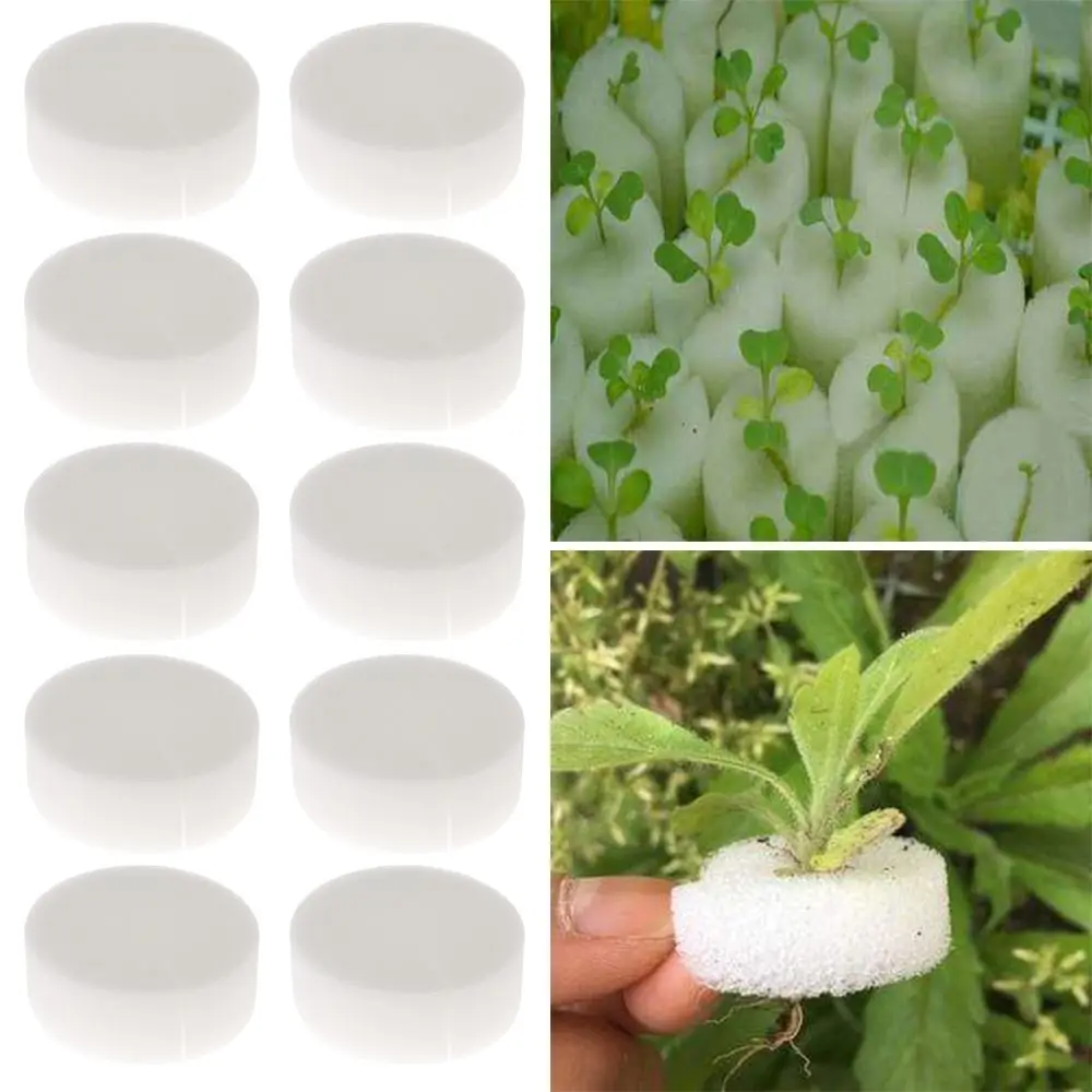10/50pcs Garden Supplies Cultivation Planting Seed Trays Flower Pots Nursery Sponge Soilless Hydroponic
10/50pcs Garden Supplies Cultivation Planting Seed Trays Flower Pots Nursery Sponge Soilless Hydroponic