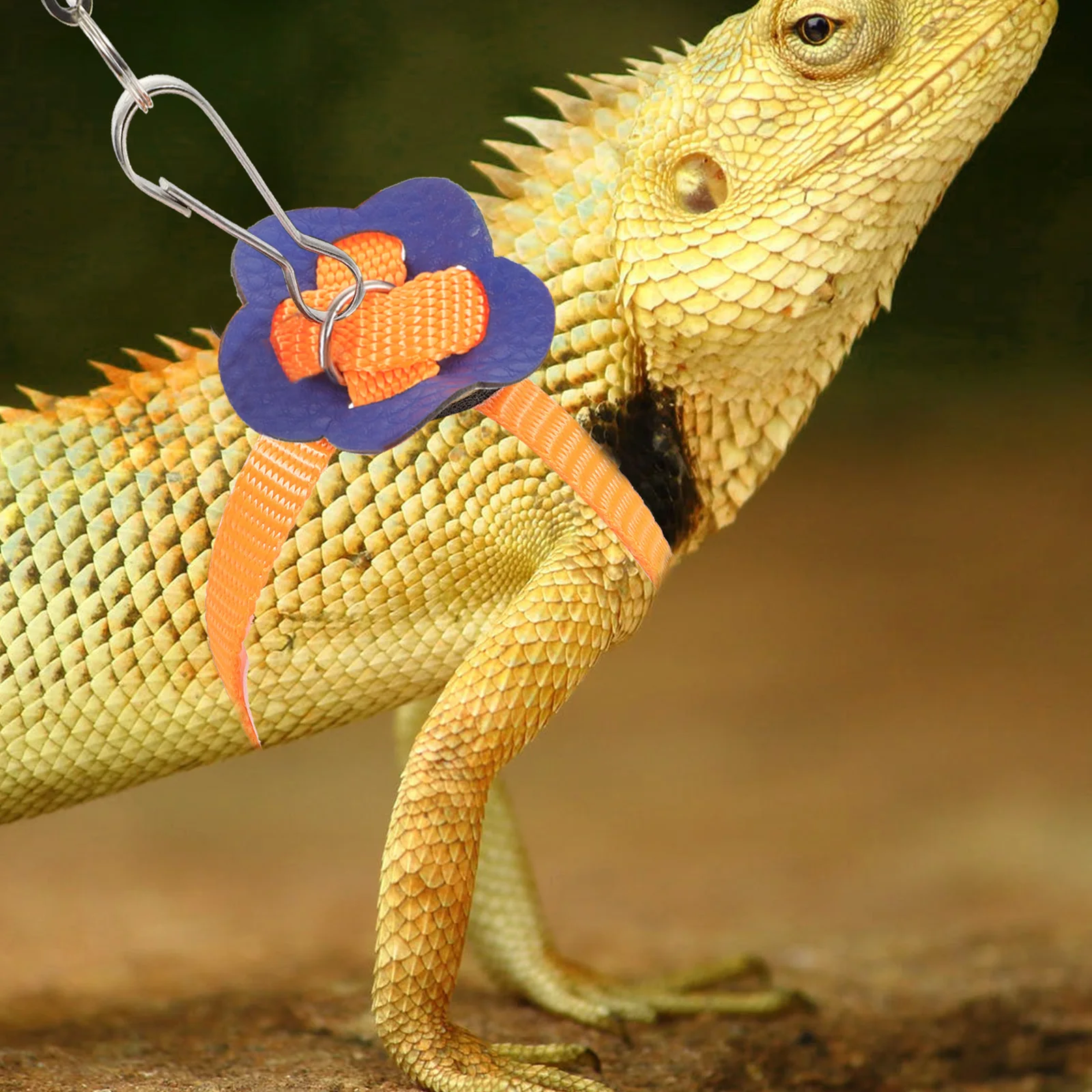 Pet Leash Reptile Harness Adjustable Design Lightweight Durable Material Lizard Walking Rope Small Animal Traction Strap
Pet Leash Reptile Harness Adjustable Design Lightweight Durable Material Lizard Walking Rope Small Animal Traction Strap