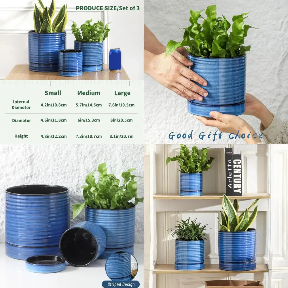 Горшки для растений Ceic H3 Piece, 8/6/4,6 дюйма, комнатные горшки или растения с дренажными отверстиями и блюдцем, Ern lower Sadter или Home Oice, Blu
Горшки для растений Ceic H3 Piece, 8/6/4,6 дюйма, комнатные горшки или растения с дренажными отверстиями и блюдцем, Ern lower Sadter или Home Oice, Blu