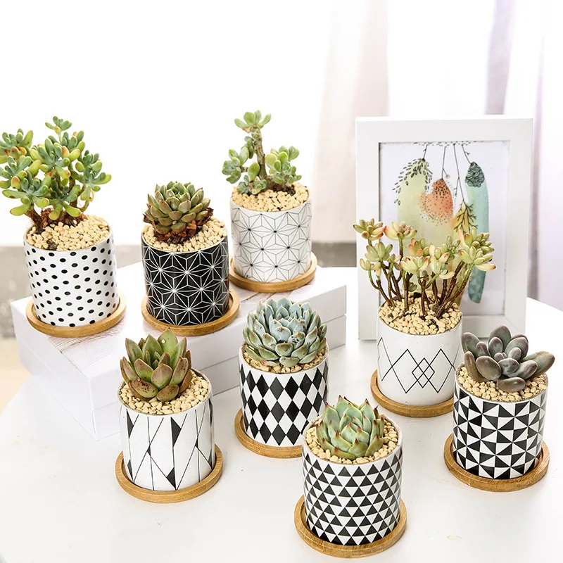 European Style Black and White Geometric Ceramic Vase Breathable Indoor Bonsai Pots Home Decorative Ornaments
European Style Black and White Geometric Ceramic Vase Breathable Indoor Bonsai Pots Home Decorative Ornaments
