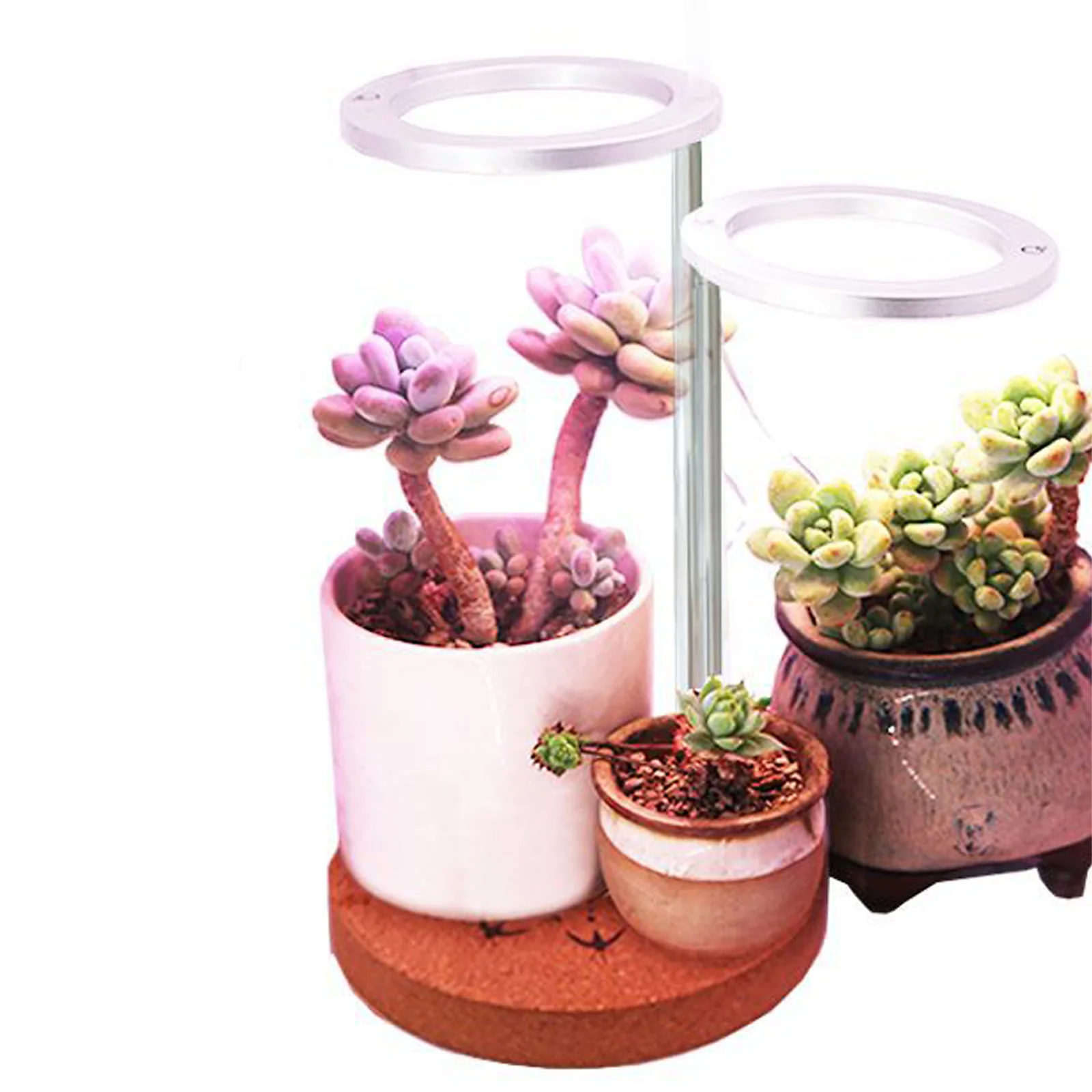 Plant Light Succulent Fill Lights Led Household Rings Plants Telescopic Rod Home Indoor LED Full Spectrum Lamp
Plant Light Succulent Fill Lights Led Household Rings Plants Telescopic Rod Home Indoor LED Full Spectrum Lamp