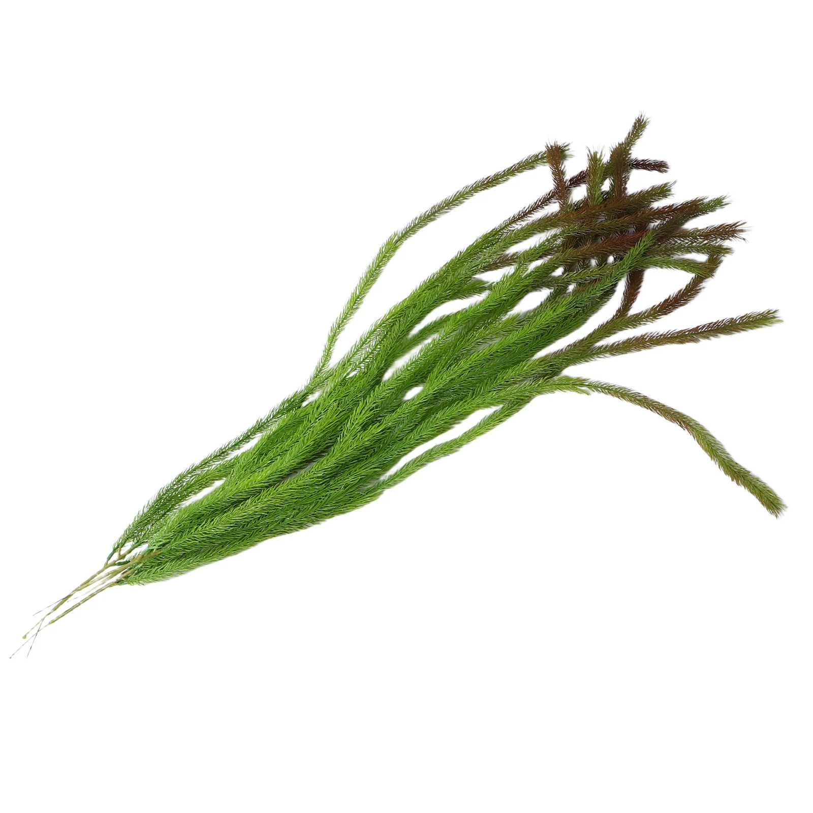 4Pcs Artificial Willow Leaf Vine Twigs Fake Hanging Plants Greenery Decoration Indoor Wall Wedding Arch Party Fake Willow Rattan
4Pcs Artificial Willow Leaf Vine Twigs Fake Hanging Plants Greenery Decoration Indoor Wall Wedding Arch Party Fake Willow Rattan