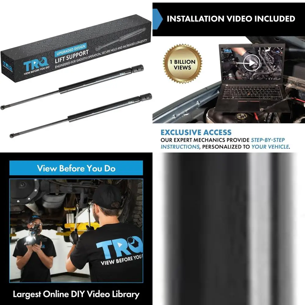 Hummer H3/H3T 2006-2010 Hood Lift Struts, Pair
Hummer H3/H3T 2006-2010 Hood Lift Struts, Pair