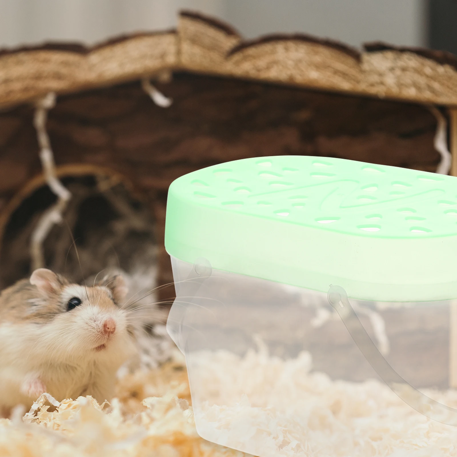 2 Pcs Pet Carrying Box Plastic Hamster Cages Turtle Reptile Travel Cases Small Crawling Containers Durable Sealed Ventilated H
2 Pcs Pet Carrying Box Plastic Hamster Cages Turtle Reptile Travel Cases Small Crawling Containers Durable Sealed Ventilated H