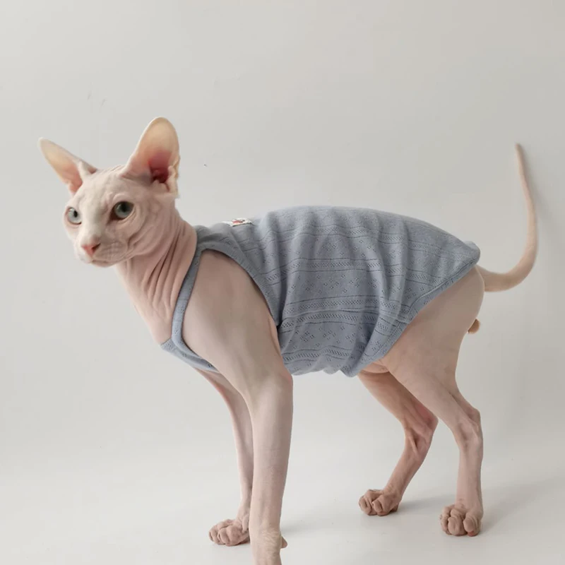 Summer 100% Cotton Mesh Vest for Sphynx & Hairless Cats - Soft No-Sleeve Jacket for Devon & Cornish Rex ropa para gatos
Summer 100% Cotton Mesh Vest for Sphynx & Hairless Cats - Soft No-Sleeve Jacket for Devon & Cornish Rex ropa para gatos
