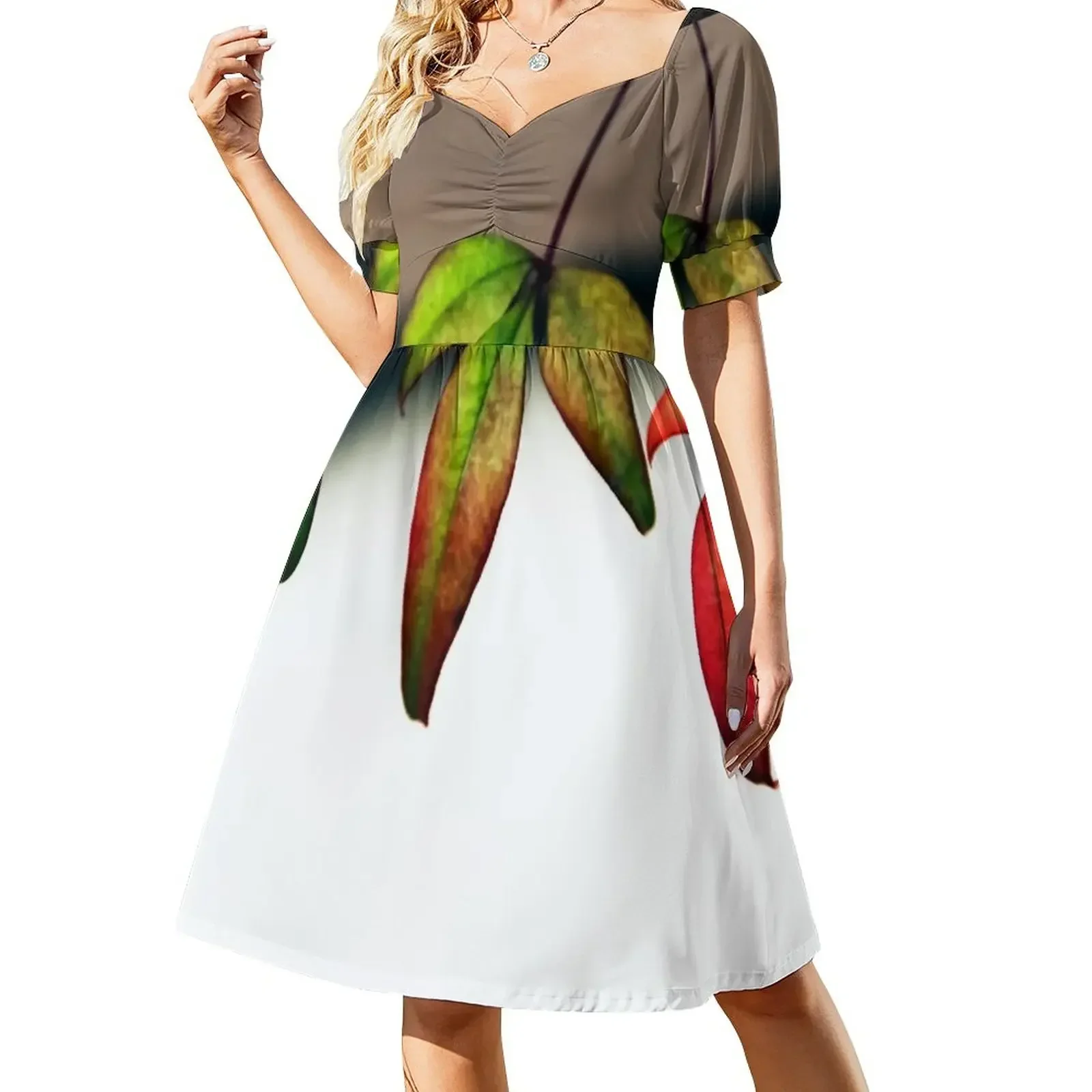 Three In A Row Short-Sleeved Dress sensual sexy dress for women Clothing dress for women 2025
Three In A Row Short-Sleeved Dress sensual sexy dress for women Clothing dress for women 2025