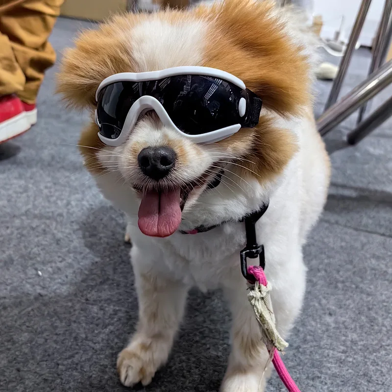 Teddy pet glasses, Schnauzer dog sunglasses, pet decoration, UV resistant dog goggles
Teddy pet glasses, Schnauzer dog sunglasses, pet decoration, UV resistant dog goggles