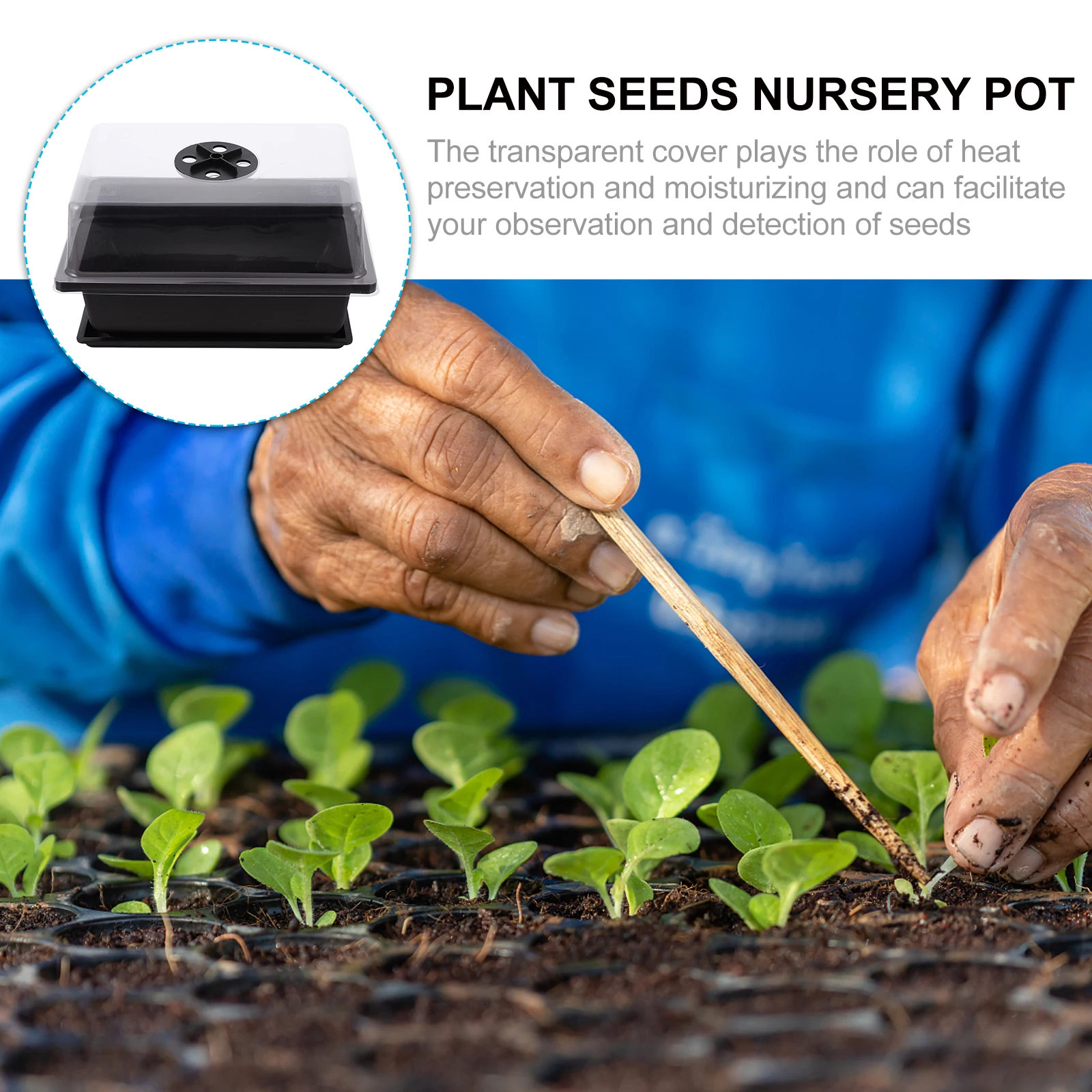 2 Sets Plastic Plant Tray Hydroponic Transparent Cover Durable Succulent Planter Pot Gardening Growing Tray For Garden
2 Sets Plastic Plant Tray Hydroponic Transparent Cover Durable Succulent Planter Pot Gardening Growing Tray For Garden