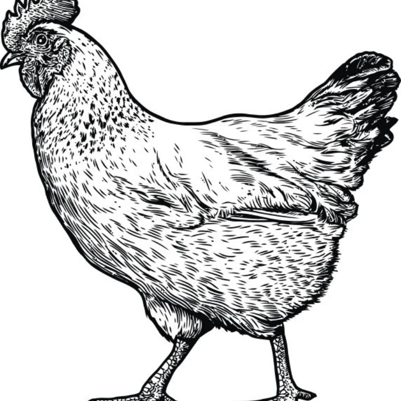 2Pcs Steel Rear Drive Shaft CVD For 1/10 Trxs Slash Rustler Stampede Hoss VXL 4X4 2WD RC Car Upgrades Parts
2Pcs Steel Rear Drive Shaft CVD For 1/10 Trxs Slash Rustler Stampede Hoss VXL 4X4 2WD RC Car Upgrades Parts