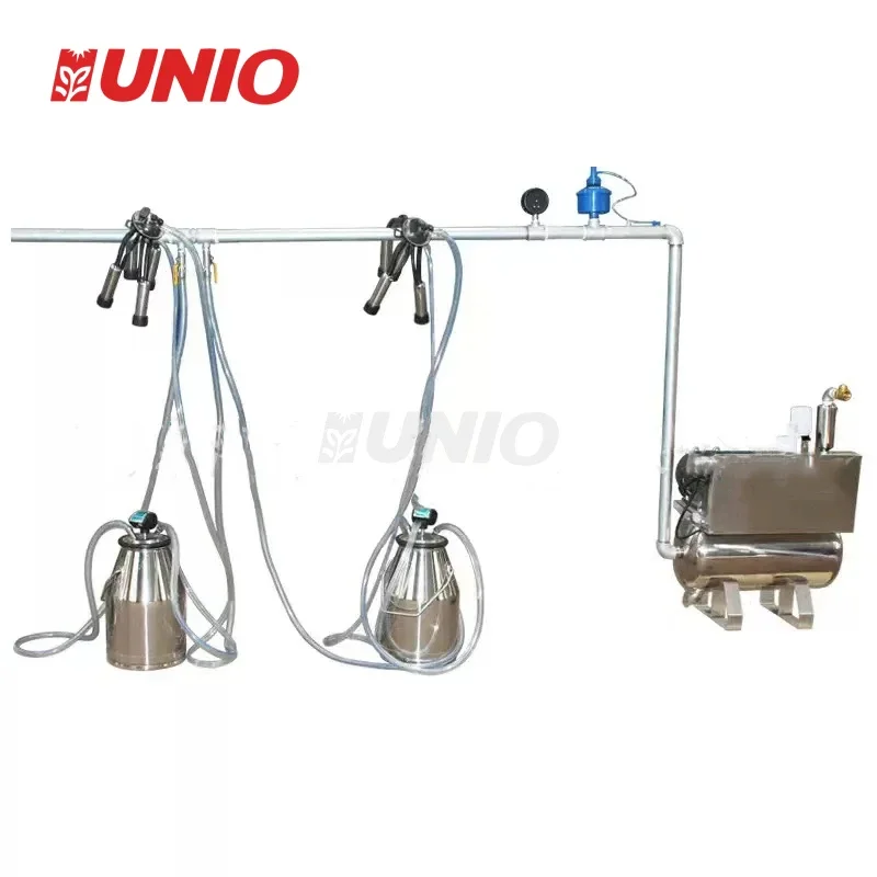 Factory directly sale fixed pipeline milking machine for dairy farm milking for sale
Factory directly sale fixed pipeline milking machine for dairy farm milking for sale