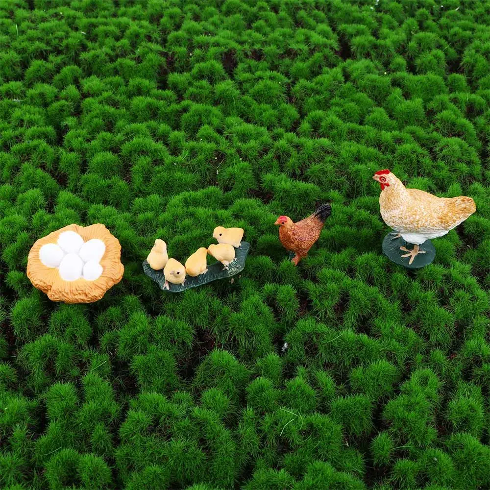 Gifts Science Swan Model Educational Hen Cock Life Cycle Figures Cycle Duck Figurine White Goose Growth Cycle Simulation
Gifts Science Swan Model Educational Hen Cock Life Cycle Figures Cycle Duck Figurine White Goose Growth Cycle Simulation