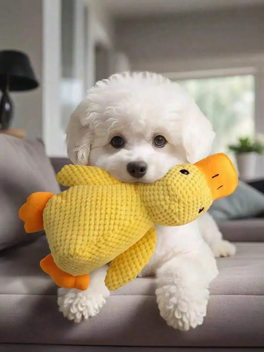 Plush Squeaky Duck Dog Toy For Large Breed Chew Companion Gift
Plush Squeaky Duck Dog Toy For Large Breed Chew Companion Gift