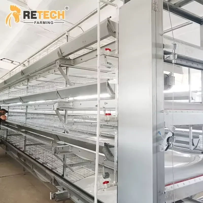 Customized High Quality Hot-Dip Galvanized Automatic Poultry Farm Equipment H Type Layer Cage with 3D Solutions Design for
Customized High Quality Hot-Dip Galvanized Automatic Poultry Farm Equipment H Type Layer Cage with 3D Solutions Design for