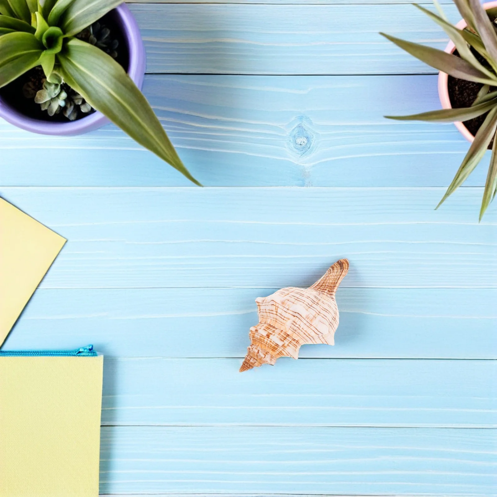 Natural Conch Shell Ocean-Themed Beach Seashell Vase Filler Fish Tank Decoration Coastal Home Ornament Aquarium Decor
Natural Conch Shell Ocean-Themed Beach Seashell Vase Filler Fish Tank Decoration Coastal Home Ornament Aquarium Decor